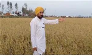 ‘ਗੜੇਮਾਰੀ ਨਾਲ ਤਬਾਹ ਹੋਈਆਂ ਫ਼ਸਲਾਂ ਦਾ ਮੁਆਵਜ਼ਾ ਦਿੱਤਾ ਜਾਵੇ’, ਫ਼ਰੀਦਕੋਟ ਵਿੱਚ ਨੁਕਸਾਨ ਦਾ ਜਾਇਜ਼ਾ ਲੈਣ ਪਹੁੰਚੇ ਸਾਬਕਾ CM ਚੰਨੀ ਨੇ ਕੀਤੀ ਮੰਗ