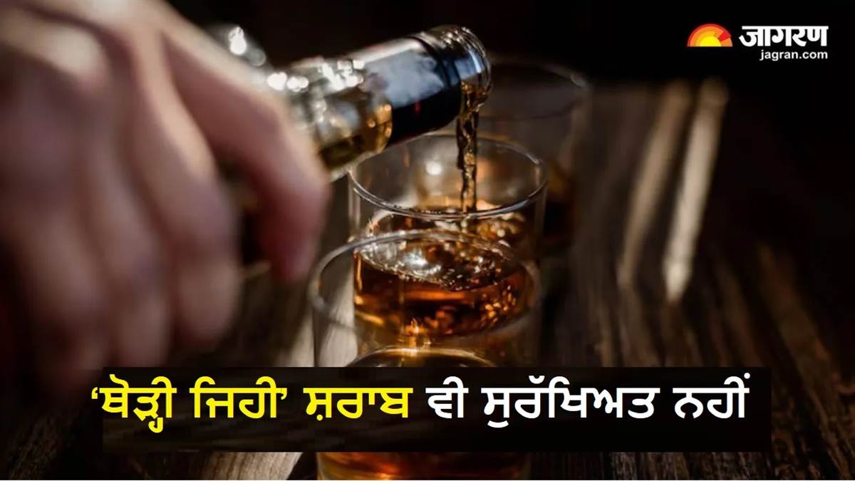 alcohol for common people in Saudi Arabia Tourism Minister said Wine is  important | Saudi Arabia Tourism: सऊदी अरब में आम लोगों को मिलेगी शराब ?  पर्यटन मंत्री ने कहा 'वाइन जरूरी', image size:1200x675