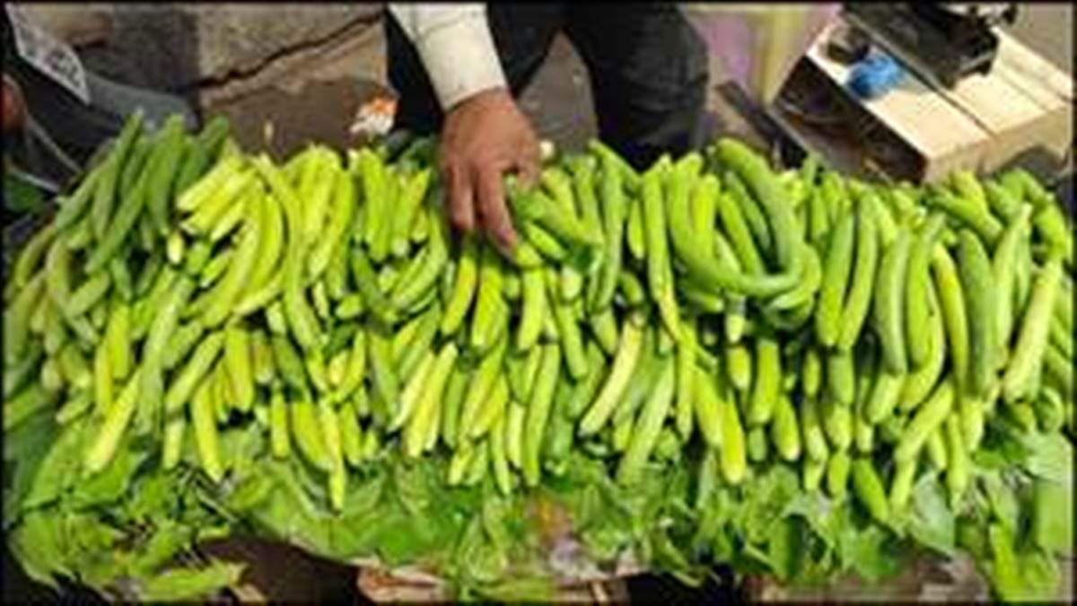 Benefits Of Kakdi:ਗਰਮੀਆਂ ਦੀ ਖੁਰਾਕ 'ਚ ਜ਼ਰੂਰ ਸ਼ਾਮਲ ਕਰੋ ਤਰ, ਭਾਰ ਘਟਾਉਣ ਦੇ ਨਾਲ-ਨਾਲ ਡੀਹਾਈਡ੍ਰੇਸ਼ਨ ਤੋਂ ਵੀ ਹੋਵੇਗਾ ਬਚਾਅ