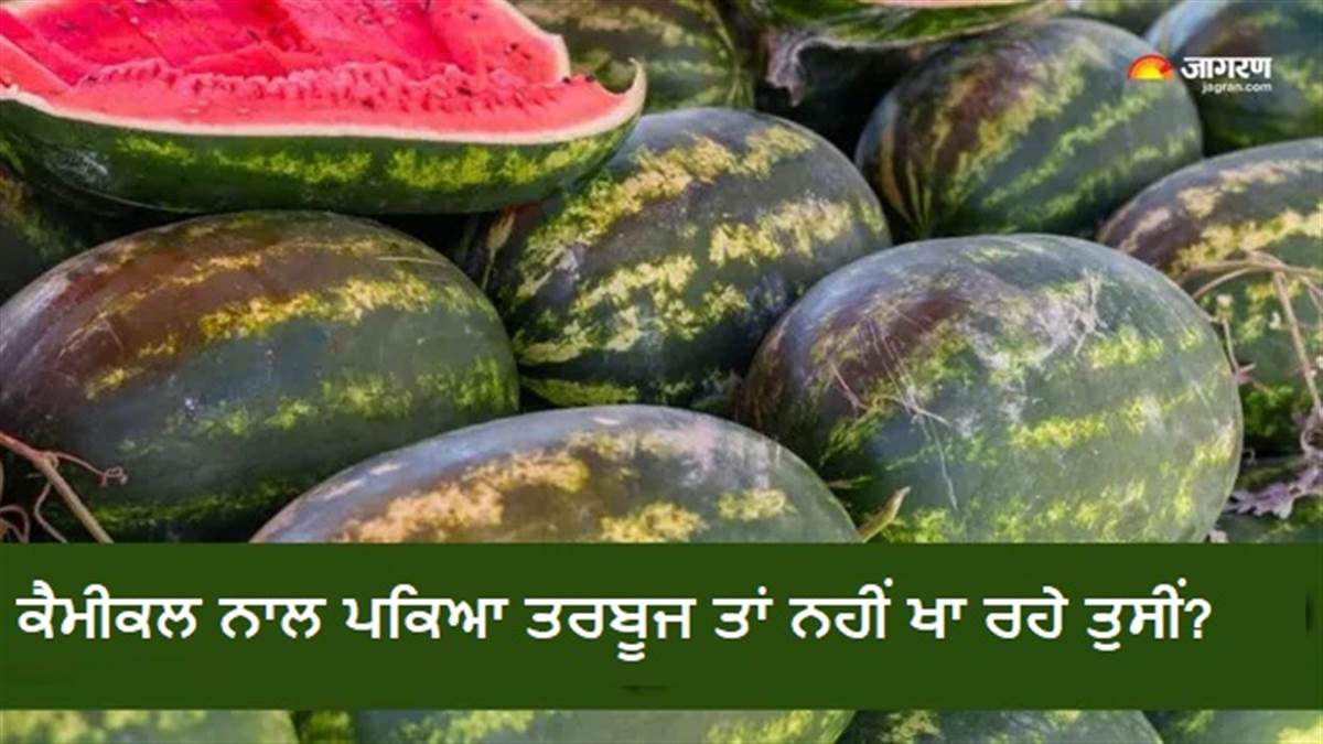 ਤਰਬੂਜ ਕੁਦਰਤੀ ਹੈ ਜਾਂ ਟੀਕੇ ਨਾਲ? ਇਹਨਾਂ ਤਰੀਕਿਆਂ ਦੀ ਵਰਤੋਂ ਕਰਕੇ ਸਿਰਫ਼ 2 ਮਿੰਟਾਂ 'ਚ ਮਿਲਾਵਟ ਦੀ ਪਛਾਣ