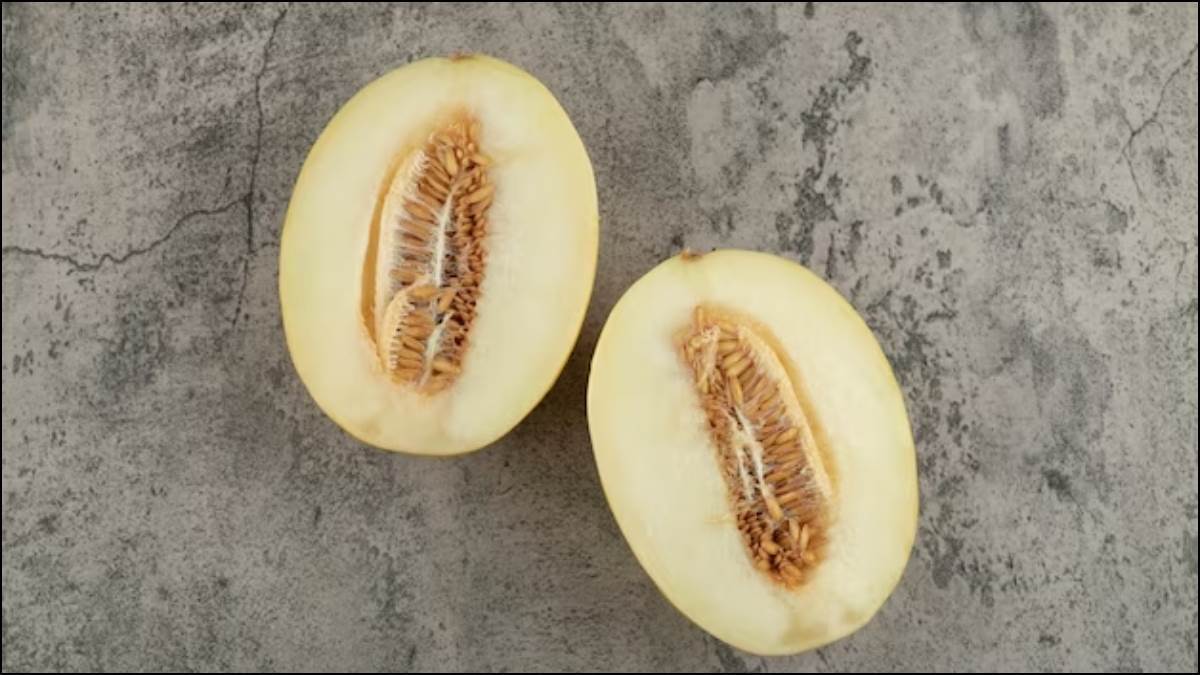 Muskmelon Seeds Melon seeds are a wealth of health benefits before throwing them be sure to know its benefits | ਸਿਹਤ ਲਈ ਗੁਣਾਂ ਦਾ ਖਜ਼ਾਨਾ ਹਨ ਖਰਬੂਜੇ ਦੇ ਬੀਜ, ਸੁੱਟਣ ਤੋਂ ਪਹਿਲਾਂ ਜ਼ਰੂਰ ਜਾਣ ਲਓ ਇਸ ਦੇ ਫਾਇਦੇ