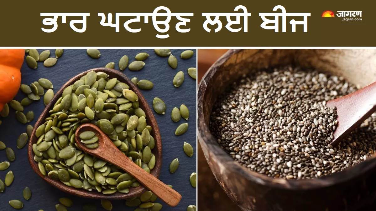 ਭਾਰ ਘਟਾਉਣ ਲਈ ਆਪਣੀ ਡਾਈਟ 'ਚ ਸ਼ਾਮਲ ਕਰੋ ਇਹ 4 ਤਰ੍ਹਾਂ ਦੇ ਬੀਜ, ਕੁਝ ਹੀ ਦਿਨਾਂ 'ਚ ਦਿਖਾਈ ਦੇਵੇਗਾ ਅਸਰ