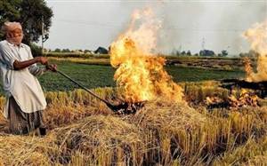 ਪਰਾਲੀ ਦਾ ਧੂੰਆਂ ਉੱਠਣ ਤੋਂ ਪਹਿਲਾਂ ਹੀ ਪੰਜਾਬ ਅਲਰਟ, ਇਸ ਵਾਰ ਡਰੋਨ ਨਾਲ ਹੋਵੇਗੀ ਖੇਤਾਂ ਦੀ ਨਿਗਰਾਨੀ