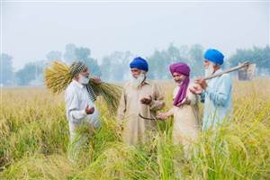 ਪ੍ਰਧਾਨ ਮੰਤਰੀ ਫਸਲ ਬੀਮਾ ਯੋਜਨਾ : ਕਿਸਾਨਾਂ 'ਤੇ ਕੇਂਦਰ ਮਿਹਰਬਾਨ ਪਰ ਪੰਜਾਬ ਦੀ ਝੋਲੀ ਖਾਲੀ,  ਦੇਸ਼ ਦੇ ਕਿਸਾਨਾਂ ਨੂੰ ਮਿਲੇ 46,000 ਕਰੋੜ
