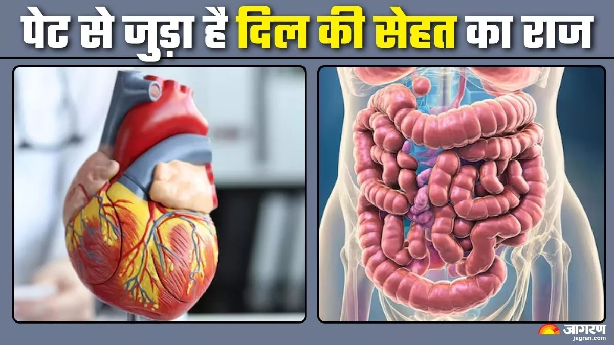 ਖਰਾਬ ਗਟ ਹੈਲਥ ਵਧਾ ਸਕਦੀ ਹੈ ਦਿਲ ਦੀ ਬਿਮਾਰੀ ਦੇ ਖਤਰਾ, ਇਹਨਾਂ ਲੱਛਣਾਂ ਨਾਲ ਕਰੋ ਵਿਗੜਦੇ ਪਾਚਨ ਦੀ ਪਛਾਣ