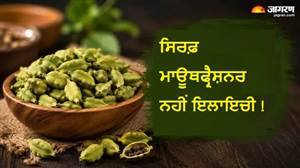 ਸੌਂਫ-ਮਿਸ਼ਰੀ ਭੁੱਲ ਜਾਓ, ਖਾਣ ਤੋਂ ਬਾਅਦ ਰੋਜ਼ ਚਬਾਓ ਇਲਾਇਚੀ; ਸਿਹਤ ਨਾਲ ਜੁੜੀਆਂ ਕਈ ਪਰੇਸ਼ਾਨੀਆਂ ਹੋਣਗੀਆਂ ਦੂਰ