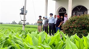 ਡਾ. ਢਿੱਲੋਂ ਦੀ ਅਗਵਾਈ ’ਚ ਪੀਏਯੂ ਦੀ ਟੀਮ ਵੱਲੋਂ ਅਗਾਂਹਵਧੂ ਕਿਸਾਨਾਂ ਦੇ ਖੇਤਾਂ ਦਾ ਦੌਰਾ