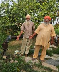 ਇੱਕੋ ਰਾਤ 7 ਕਿਸਾਨਾਂ ਦੀਆਂ ਮੋਟਰਾਂ ਤੋਂ ਤਾਰ ਚੋਰੀ