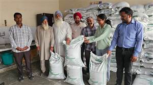 ਸਬਸਿਡੀ ਵਾਲਾ ਕਣਕ ਦਾ ਬੀਜ ਖੇਤੀਬਾੜੀ ਦਫ਼ਤਰ ਪੁੱਜਿਆ, ਕਿਸਾਨਾਂ ਨੂੰ ਦਿੱਤੇ ਜਾ ਰਹੇ ਦੋ-ਦੋ ਥੈਲੇ