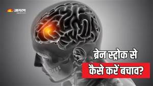 ਸਾਵਧਾਨ! 'ਮਿੰਨੀ ਸਟ੍ਰੋਕ' ਨੂੰ ਹਲਕੇ 'ਚ ਲੈਣਾ ਪੈ ਸਕਦਾ ਹੈ ਭਾਰੀ: ਵੱਡੇ ਖ਼ਤਰੇ ਤੋਂ ਬਚਣ ਲਈ ਅਪਣਾਓ ਇਹ 2 ਸਭ ਤੋਂ ਕਾਰਗਰ ਤਰੀਕੇ