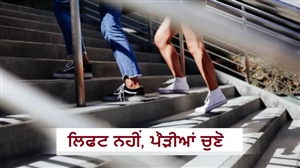 ਕਿਉਂ 'ਪੌੜੀਆਂ ਚੜ੍ਹਨਾ' ਹੈ ਦੁਨੀਆ ਦੀ ਸਭ ਤੋਂ ਵਧੀਆ ਕਸਰਤ? ਡਾਕਟਰ ਨੇ ਦੱਸਿਆ ਇਸ ਨੂੰ ਲੰਬੀ ਉਮਰ ਦਾ ਸ਼ਾਰਟਕੱਟ