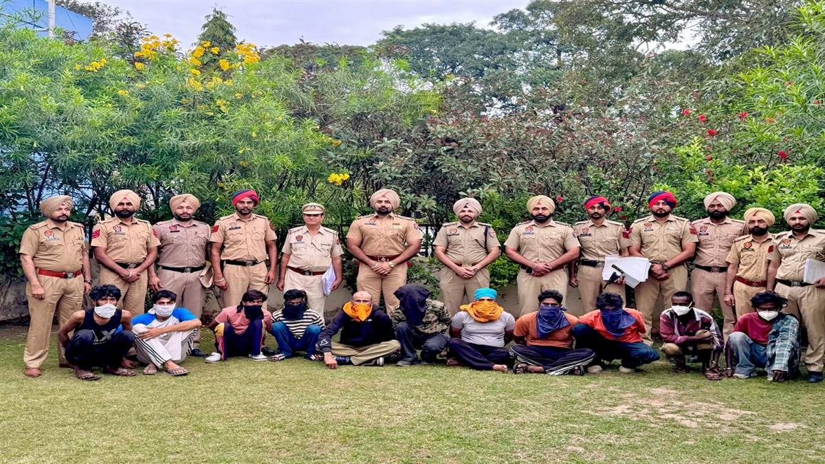 ਚੋਰੀ ਤੇ ਸਨੈਚਿੰਗ ਕਰਨ ਵਾਲੇ ਗਿਰੋਹ ਦੇ 13 ਮੈਂਬਰ ਕਾਬੂ