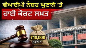 VIP ਨੰਬਰ ਕੌਡੀਆਂ ਦੇ ਭਾਅ ਵੰਡੇ; ਹਾਈ ਕੋਰਟ ਸਖ਼ਤ, ਜਵਾਬ ਨਾ ਦੇਣ 'ਤੇ ਪੰਜਾਬ ਸਰਕਾਰ ਨੂੰ ਲਾਇਆ ਜੁਰਮਾਨਾ