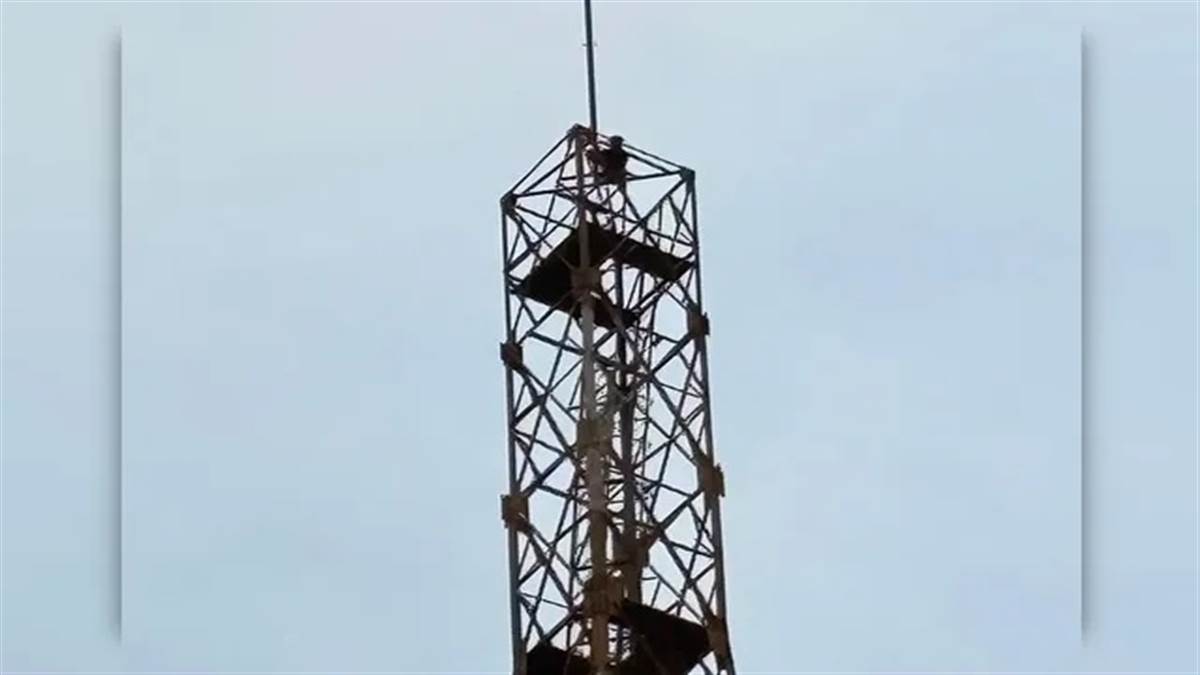 'ਵਿਆਹ ਕਰਵਾਓ ਨਹੀਂ ਤਾਂ ਛਾਲ ਮਾਰ ਦਿਆਂਗਾ', ਪ੍ਰੇਮ ਵਿਆਹ ਲਈ ਅੜਿਆ ਰਾਮੂ, ਟਾਵਰ 'ਤੇ ਚੜ੍ਹ ਕੇ ਮਚਾਇਆ ਹੰਗਾਮਾ