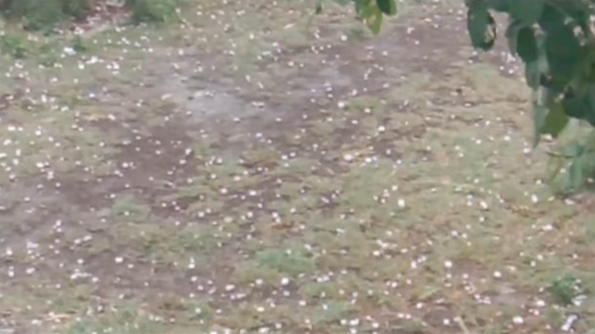 Punjab Weather Update: ਸੂਬੇ 'ਚ ਬਦਲਿਆ ਮੌਸਮ ਦਾ ਮਿਜਾਜ਼, ਮੋਹਲੇਧਾਰ ਬਾਰਸ਼ ਤੇ ਠੰਢੀਆਂ ਹਵਾਵਾਂ ਨੇ ਦਿੱਤੀ ਗਰਮੀ ਤੋਂ ਰਾਹਤ