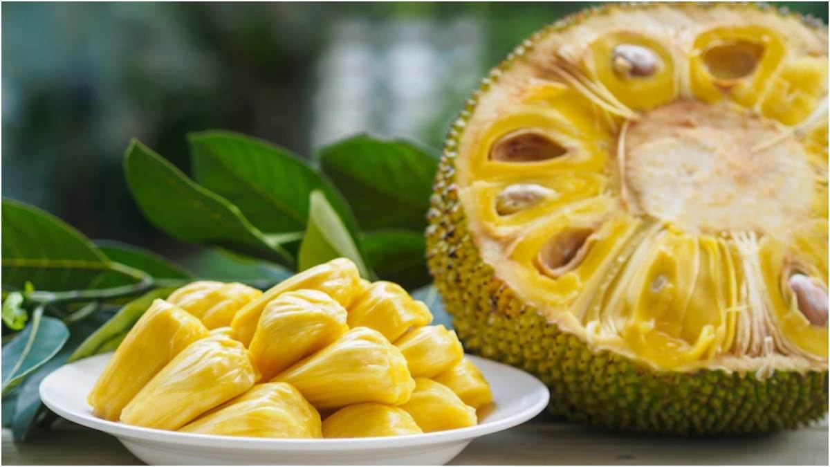 lifestyle health why jackfruit is considered health for diabetic patients