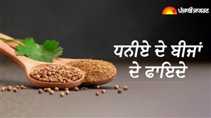 Coriander Seeds Benefits : ਗੁਣਾਂ ਦਾ ਖ਼ਜ਼ਾਨਾ ਹਨ ਧਨੀਏ ਦੇ ਬੀਜ, ਸ਼ੂਗਰ ਤੋਂ ਲੈ ਕੇ ਕੋਲੇਸਟ੍ਰੋਲ ਤਕ ਫ਼ਾਇਦੇਮੰਦ