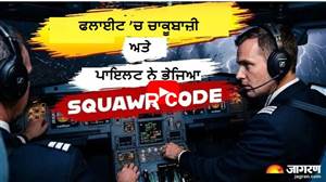 7500, 7600 ਜਾਂ 7700... ਦੁਬਈ ਤੋਂ ਤੇਲ ਅਵੀਵ ਜਾ ਰਹੇ ਜਹਾਜ਼ ਨੇ ਕਿਹੜਾ ਕੋਡ ਦਿੱਤਾ ਅਤੇ ਕੀ ਹੁੰਦਾ ਇਸ ਦਾ ਅਰਥ?