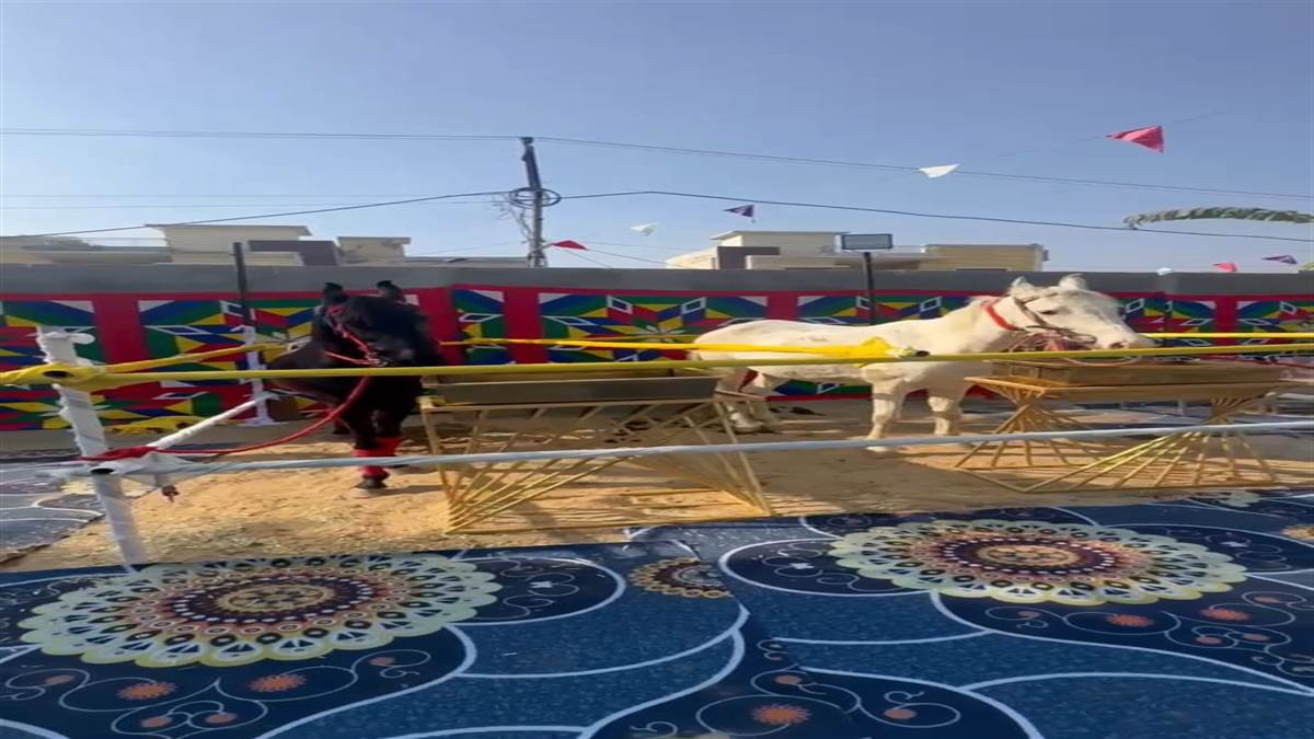 ਪੁਰਾਤਨ ਪੰਜਾਬੀ ਵਿਆਹ ਦੀਆਂ ਰੌਣਕਾਂ