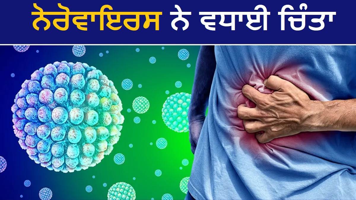 ਅਮਰੀਕਾ 'ਚ ਤੇਜ਼ੀ ਨਾਲ ਫੈਲ ਰਿਹਾ ਨੋਰੋਵਾਇਰਸ, ਉਲਟੀ-ਦਸਤ ਵਰਗੇ ਹੁੰਦੇ ਹਨ ਲੱਛਣ; ਜਾਨਲੇਵਾ ਹੋ ਸਕਦੀ ਹੈ ਅਣਦੇਖੀ