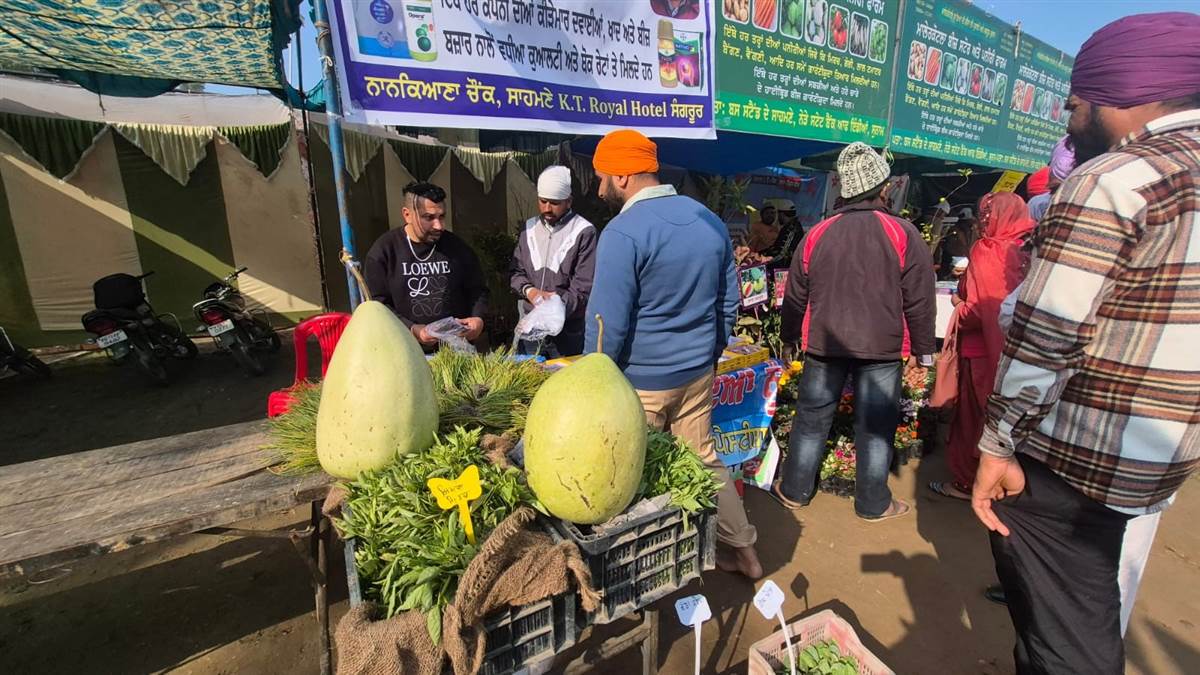 ਮੇਲੇ ਦੇ ਦੂਜੇ ਦਿਨ ਮਸਤੂਆਣਾ ਸਾਹਿਬ ਆਇਆ ਸੰਗਤ ਦਾ ਸੈਲਾਬ
