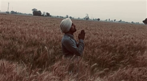 Moga News : ਜ਼ਿਲ੍ਹੇ 'ਚ ਦੇਰ ਸ਼ਾਮ ਆਈ ਹਲਕੀ ਬਾਰਿਸ਼ ਨੇ ਕਿਸਾਨਾਂ ਨੂੰ ਚਿੰਤਾ 'ਚ ਪਾਇਆ