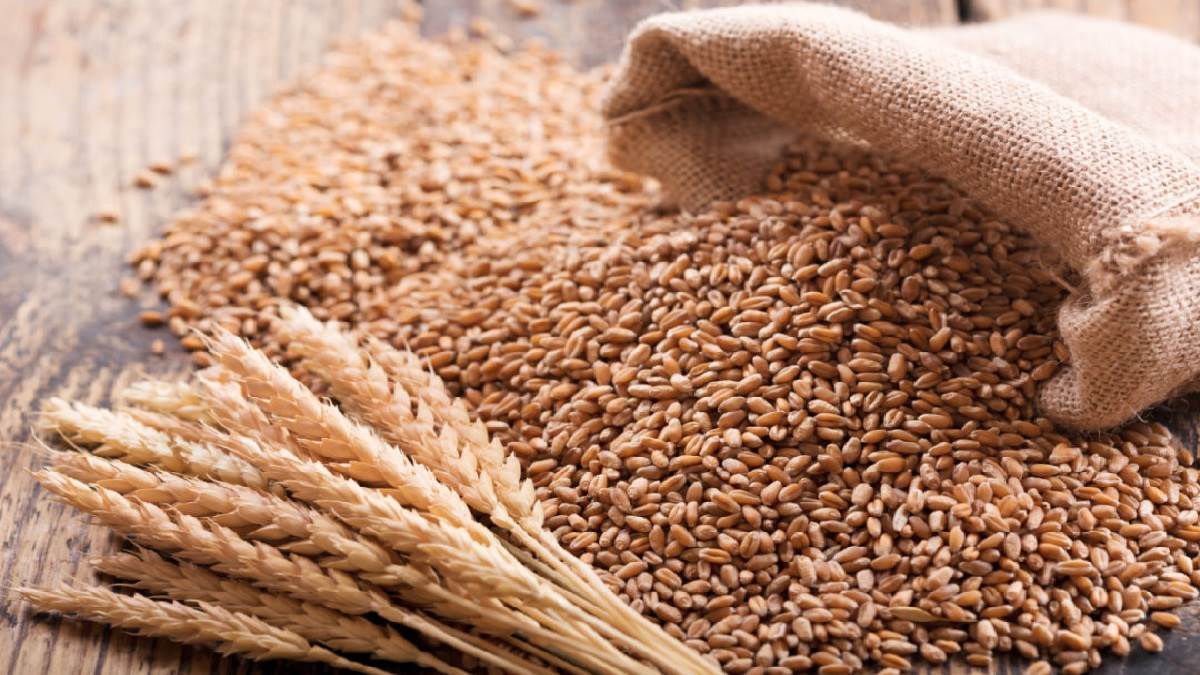 World s Largest Food Storage Plan Approved Modi Govt Announces Warehouses will be built in every block