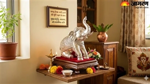 Vastu Tips : ਸੁੱਖ ਤੇ ਖੁਸ਼ਹਾਲੀ ਦਾ ਦੁਆਰ ਖੋਲ੍ਹਦਾ ਹੈ ਚਾਂਦੀ ਦਾ ਹਾਥੀ, ਘਰ 'ਚ ਰੱਖਣ ਤੋਂ ਪਹਿਲਾਂ ਜਾਣ ਲਓ ਸਹੀ ਦਿਸ਼ਾ ਤੇ ਨਿਯਮ?