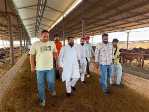 ਅਰਸ਼ ਸੱਚਰ ਨੇ ਸਰਕਾਰੀ ਗਊਸ਼ਾਲਾ ਗੋਲੇਵਾਲਾ ਦਾ ਕੀਤਾ ਦੌਰਾ