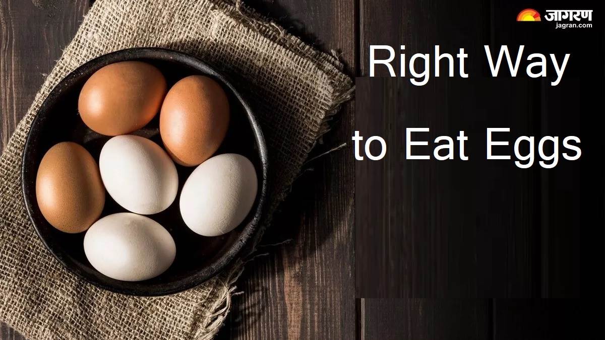 ਸਰਦੀਆਂ ਦੀ ਖੁਰਾਕ 'ਚ ਲਈ ਸਭ ਤੋਂ ਵਧੀਆ ਹੈ ਆਂਡਾ, ਪਰ ਪਤਾ ਹੋਣਾ ਚਾਹੀਦਾ ਖਾਣ ਦਾ ਸਹੀ ਤਰੀਕਾ; ਨਹੀਂ ਤਾਂ ...