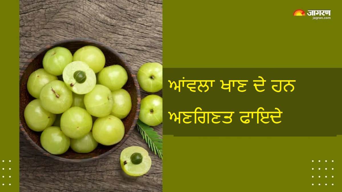 ਆਂਵਲਾ ਖਾਣ ਦੇ ਹਨ ਅਣਗਿਣਤ ਫਾਇਦੇ, ਪਰ 5 ਤਰ੍ਹਾਂ ਦੇ ਲੋਕਾਂ ਨੂੰ ਰਹਿਣਾ ਚਾਹੀਦੈ ਸਾਵਧਾਨ! ਹੋ ਸਕਦੈ ਨੁਕਸਾਨ