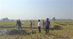 ਐੱਸਡੀਐੱਮ ਨੇ ਖੇਤਾਂ ’ਚ ਲੱਗੀ ਅੱਗ ਨੂੰ ਬੁਝਵਾਇਆ
