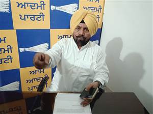 ਪਟਿਆਲਾ-ਸਮਾਣਾ-ਪਾਤੜਾਂ ਮਾਰਗ 6 ਲੇਨ ਕਰਨ ਦੀ ਤਜਵੀਜ਼ ਭੇਜੀ : ਬਰਸਟ