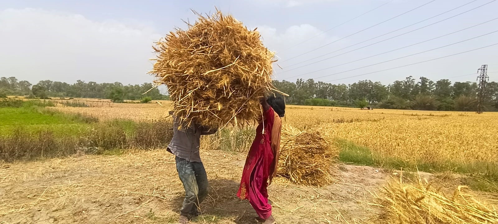 विश्व_छवि