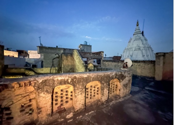 naidunia_image