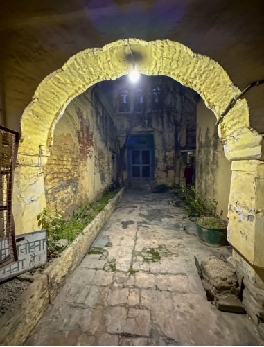 naidunia_image