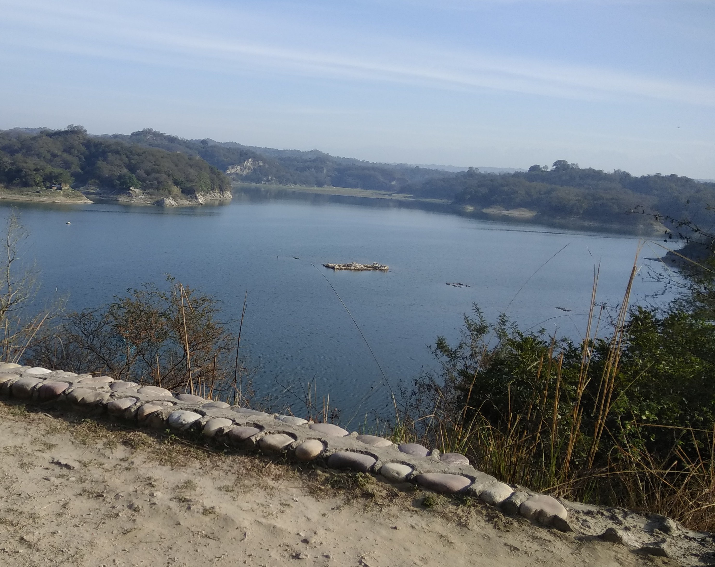 naidunia_image