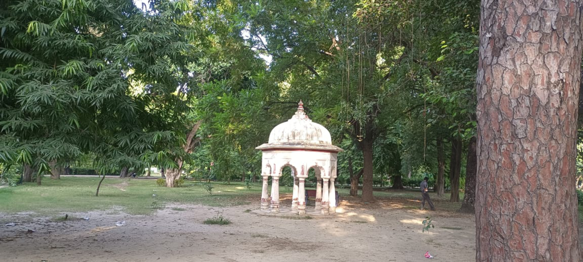 naidunia_image
