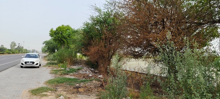 naidunia_image