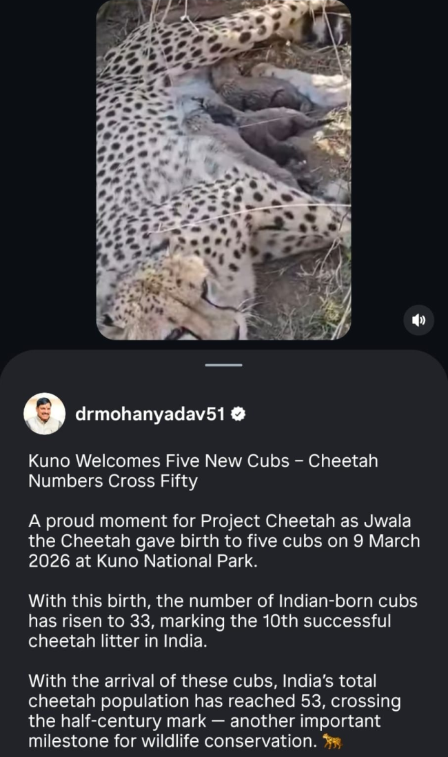 naidunia_image
