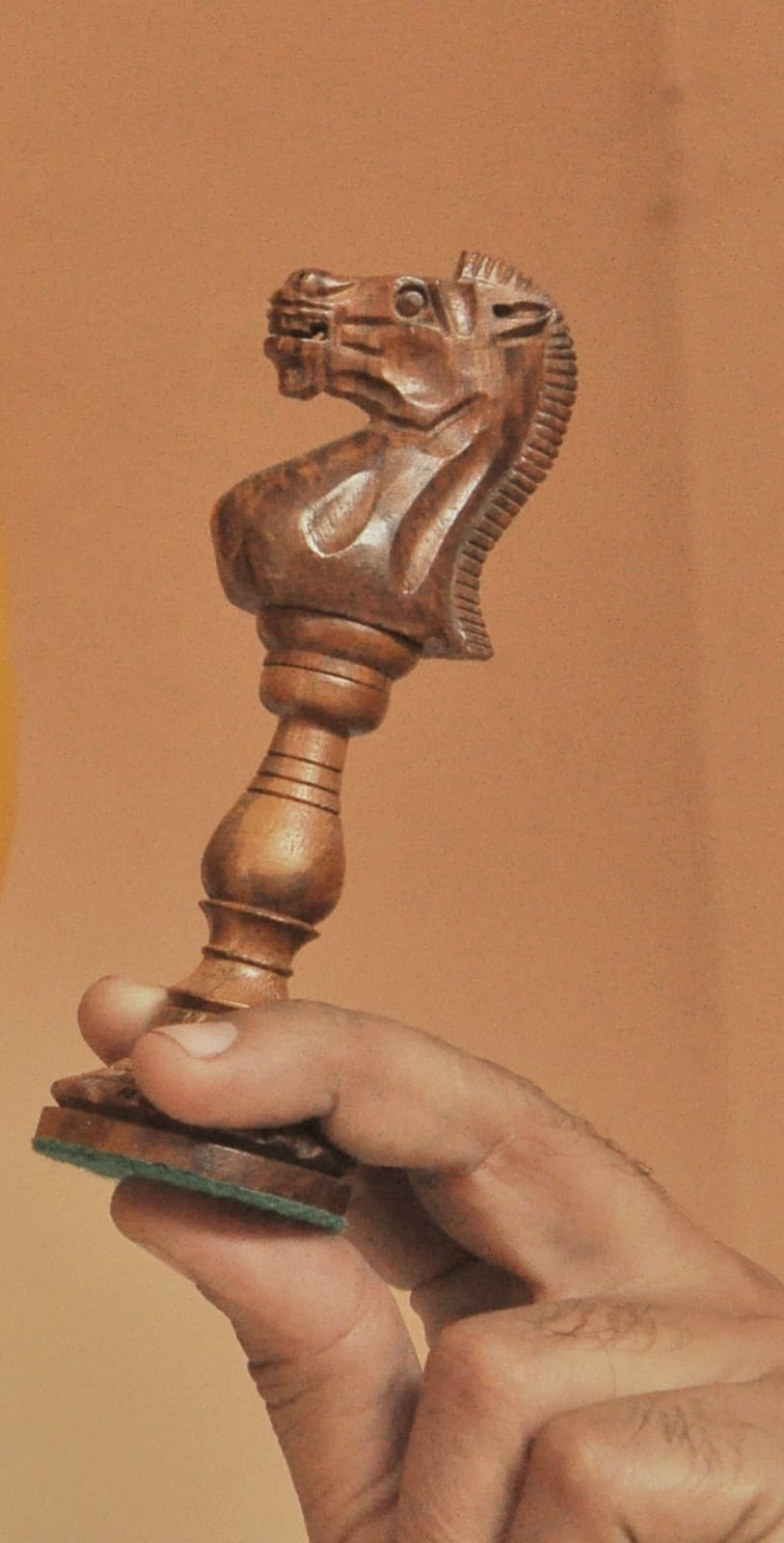 naidunia_image
