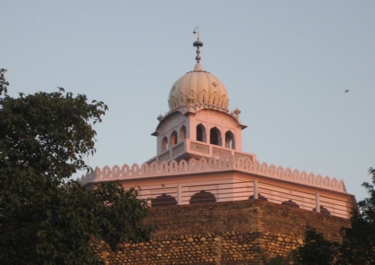 naidunia_image