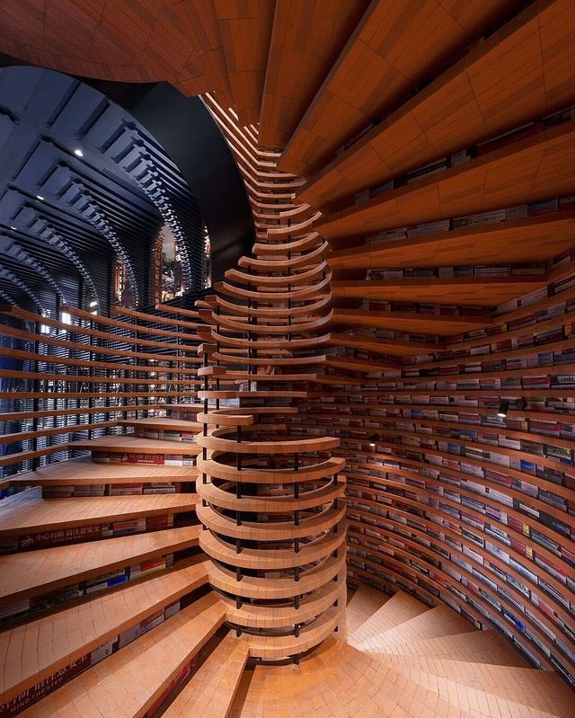 naidunia_image