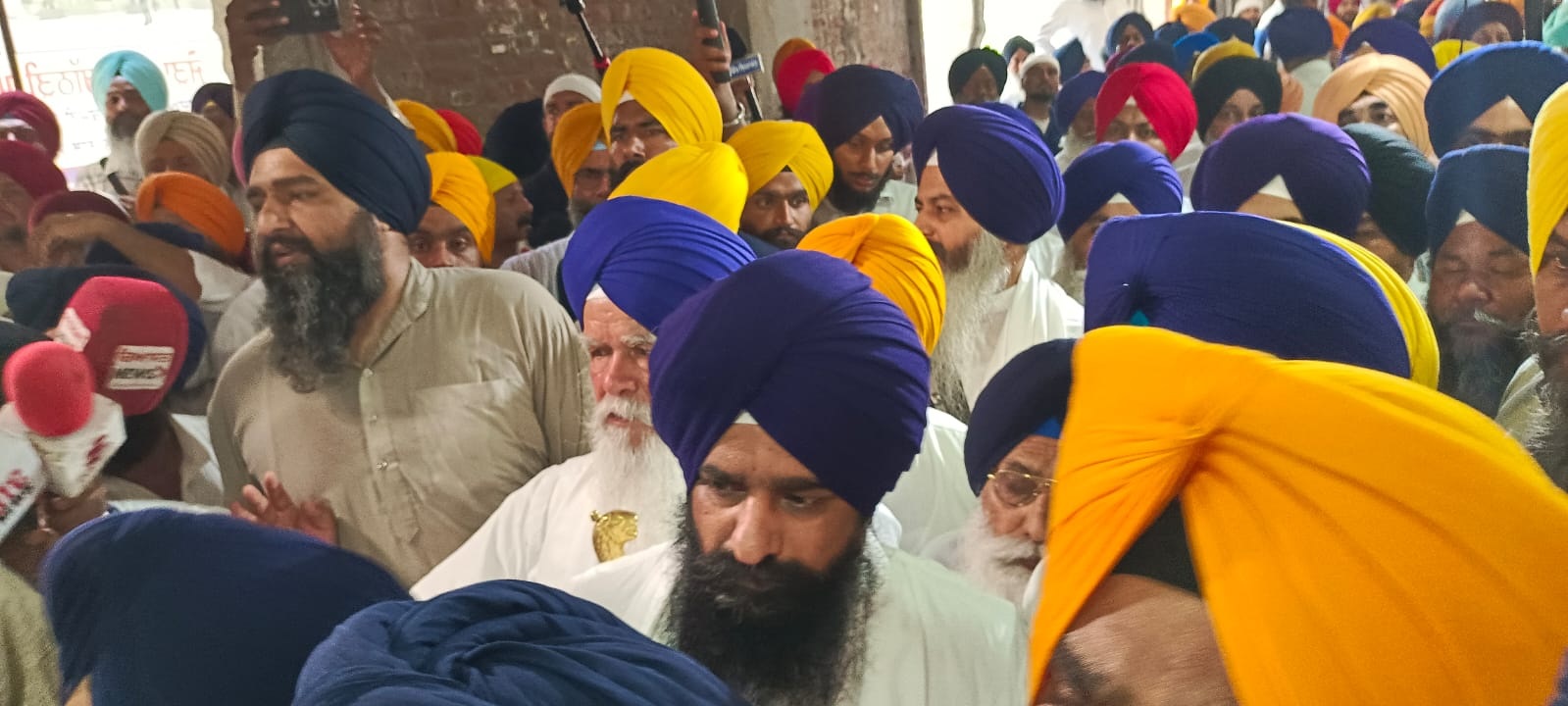 naidunia_image