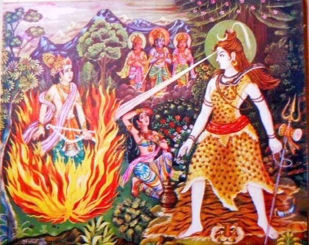 naidunia_image