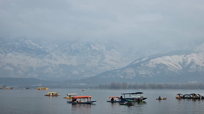 naidunia_image