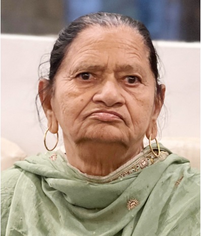 naidunia_image