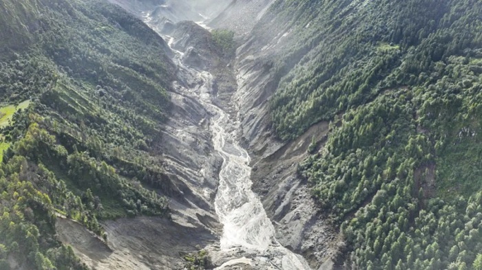 naidunia_image