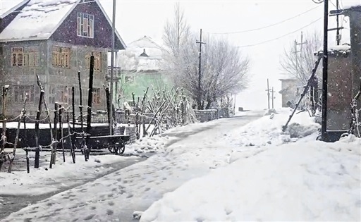 naidunia_image